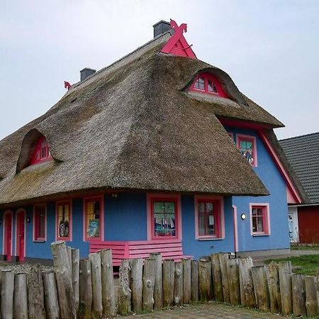 Moewenkoje - Moewe 1 Born Kültér fotó