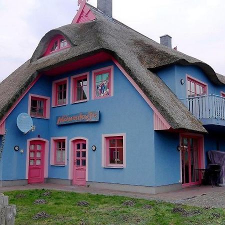Moewenkoje - Moewe 1 Born Kültér fotó